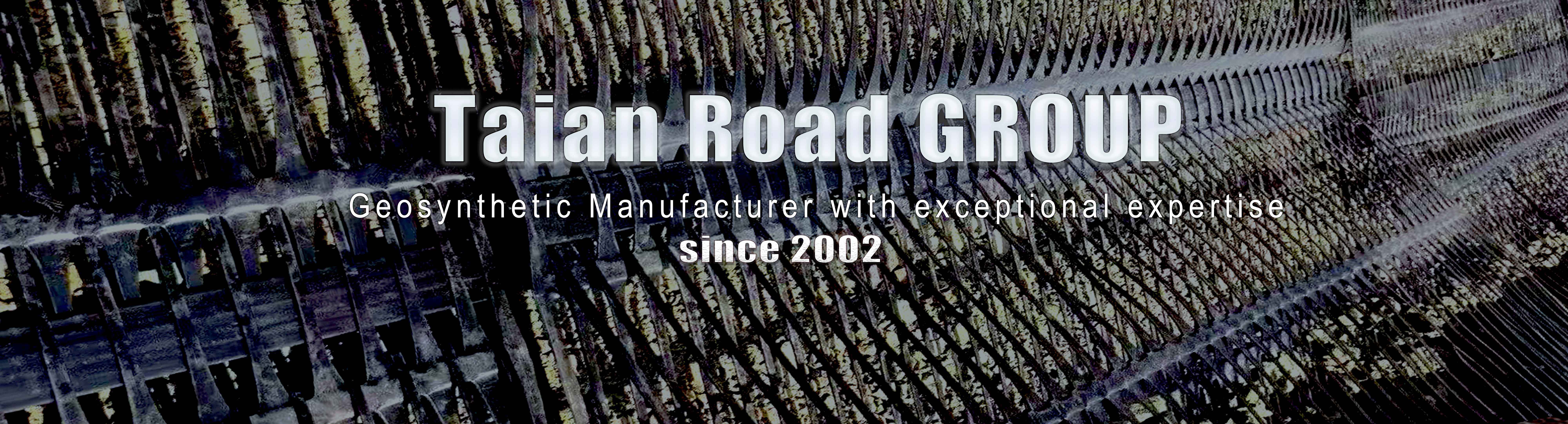 geogrid
