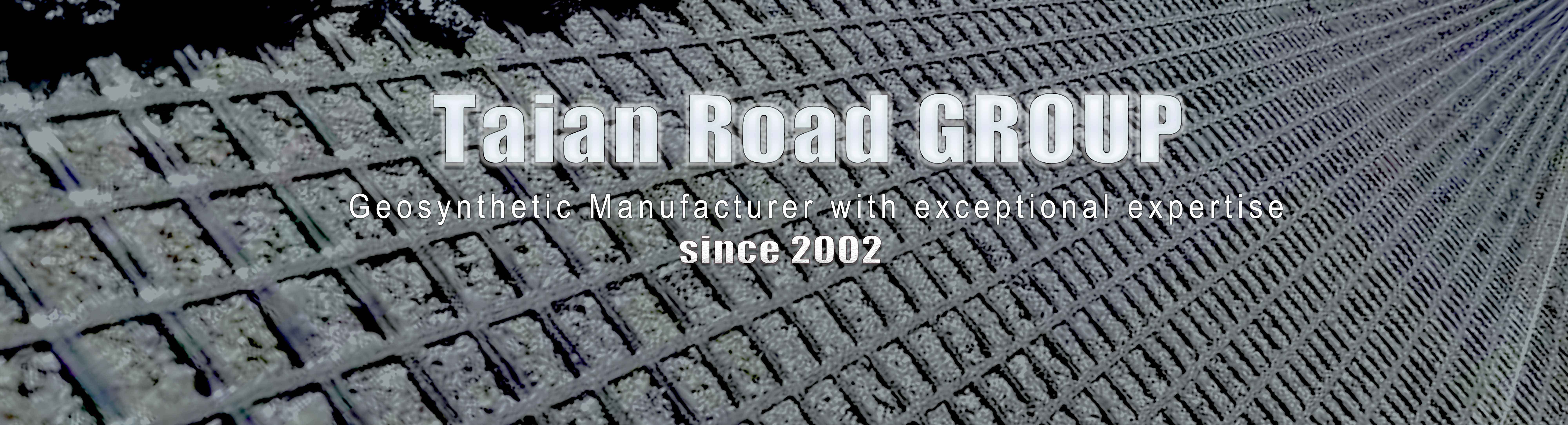 geogrid