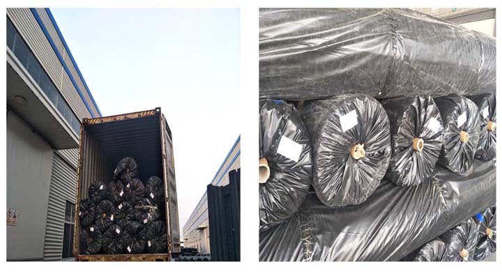 Composite Geomembrane