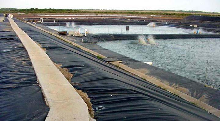 Geomembrane