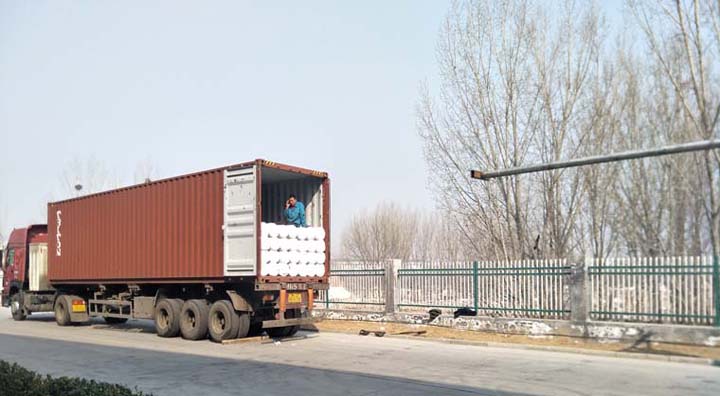 Polyester Geogrid
